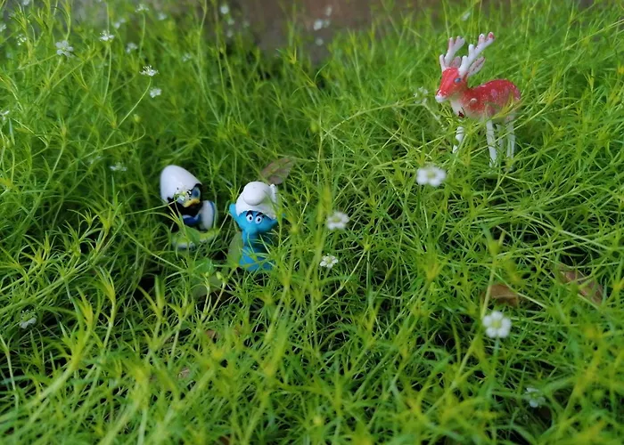 Hotel Maisonmaleyrand Mortagne-au-Perche